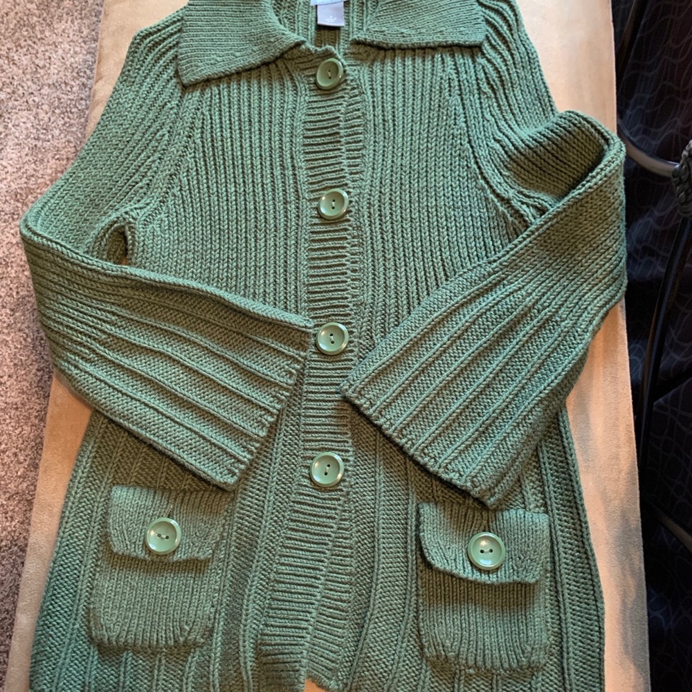 Ann Taylor green sweater